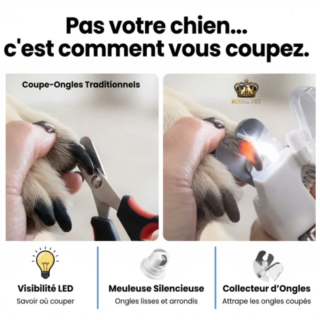 ZenGriffe™ – Coupe-ongles et lime électrique 2 en 1 à LED pour chats et chiens