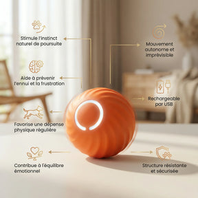 Mouvi’Balle Active™ - Balle intelligente pour chiens